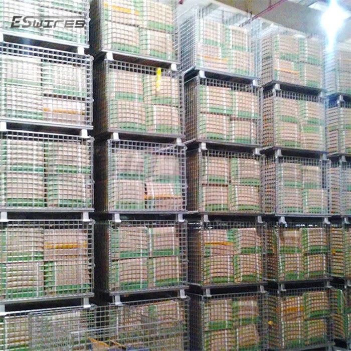 Metal Cage Storage